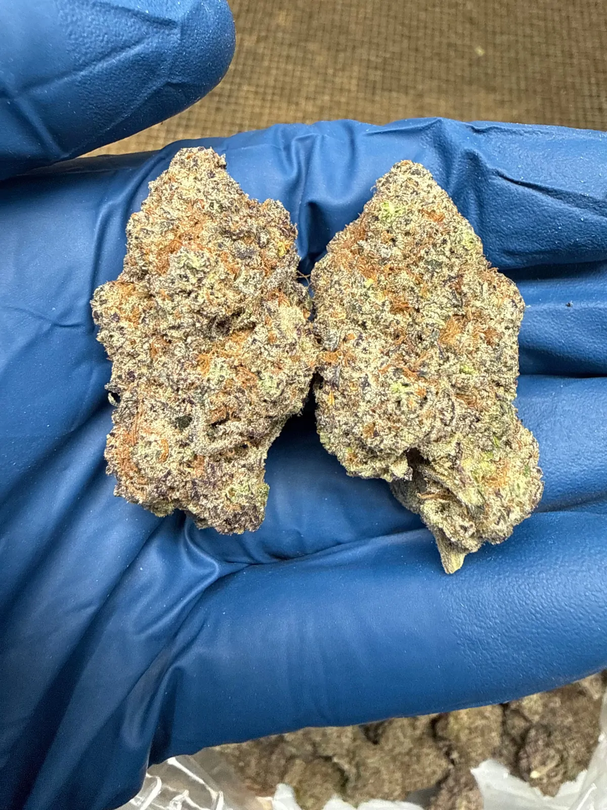 Lizard Burger Flower